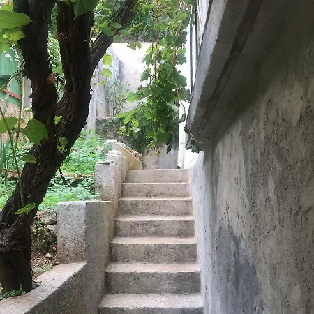 Sjajna - Garden